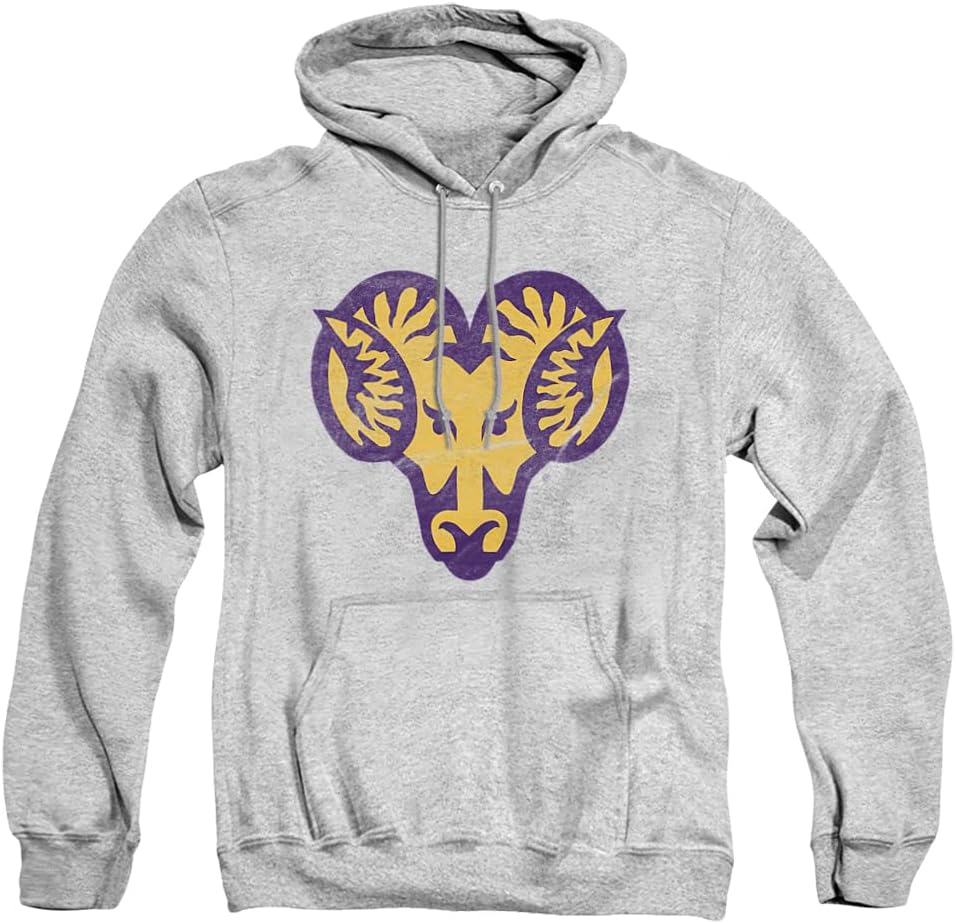 LOGOVISION Official Collegiate Distressed Primary Logo Adult Pullover Hoodie Collection