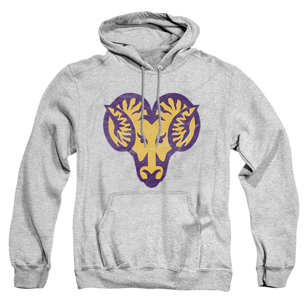 LOGOVISION Official Collegiate Distressed Primary Logo Adult Pullover Hoodie Collection — view 408