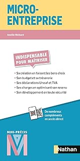 Micro-entreprise - Mini-Précis - La collection indispensable pour maitriser l'essentiel