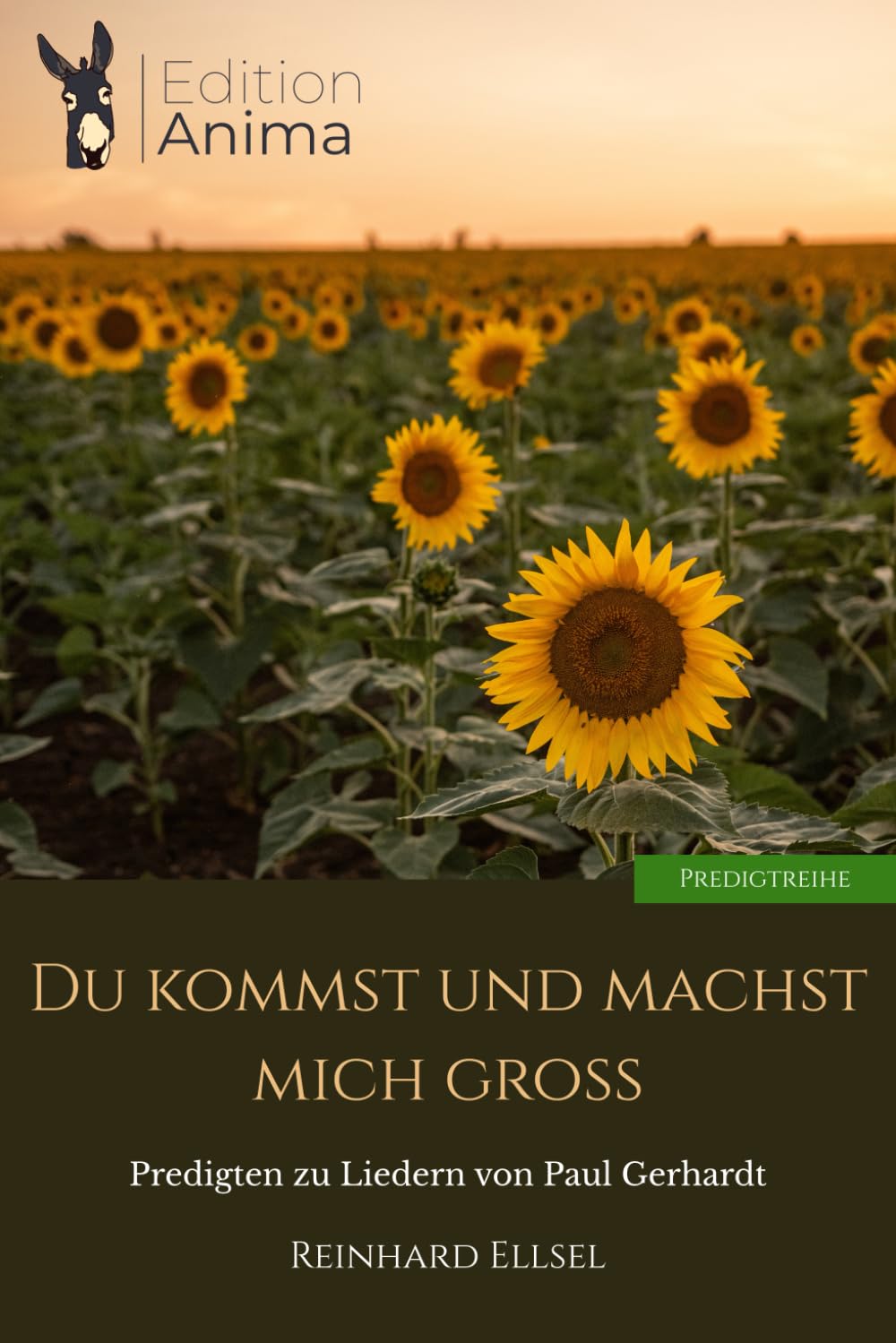 Du kommst und machst mich groß: Predigten zu Liedern von Paul Gerhardt (Predigtreihe)