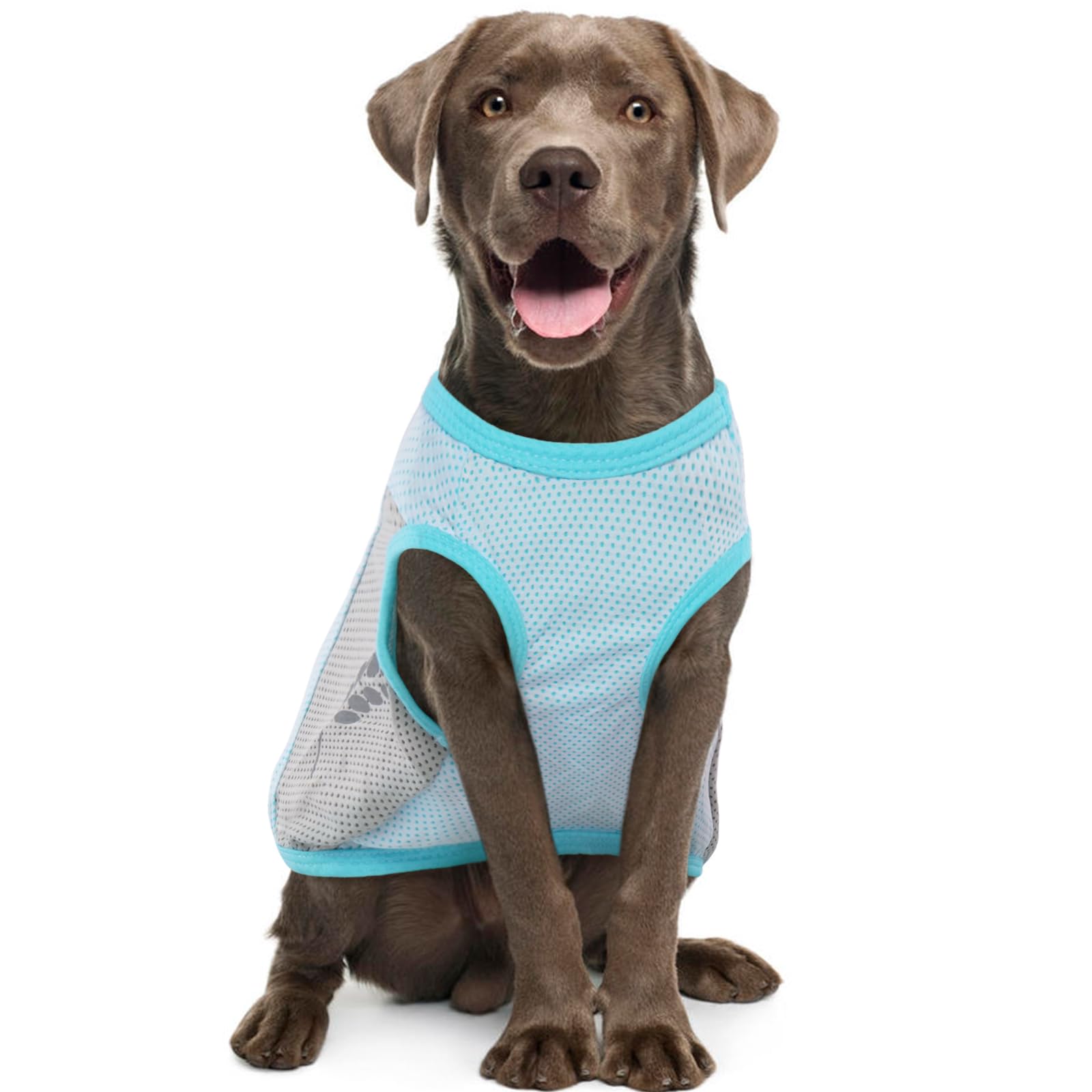IKIPUKO Dog Shirt Soft and Thin, Comfortable Daily Wear Dog Clothes Outfit for Small Dogs, Lightweight Summer Dog Cooling Vest, Breathable Mesh Dog T-Shirt with Reflective Label (Blue L)