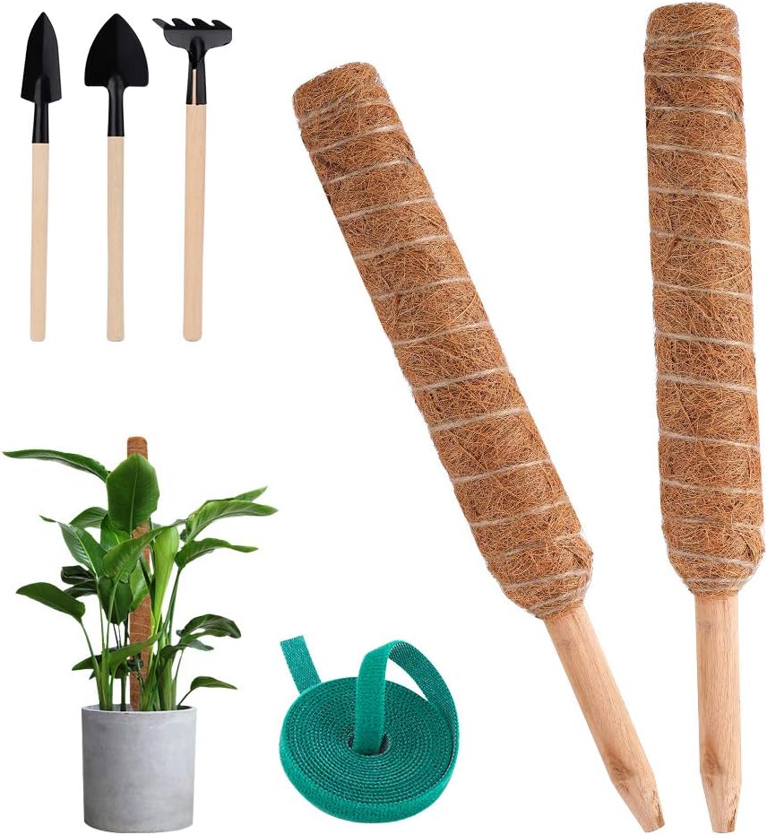 Pickei Coir Moss Pole - 26.7 Inches Coco Coir Poles with Gardening Tool Set and 78 Inches Garden Ties - 2 Natural Coir Moss Sticks for Climbing Plant Support Extension 3
