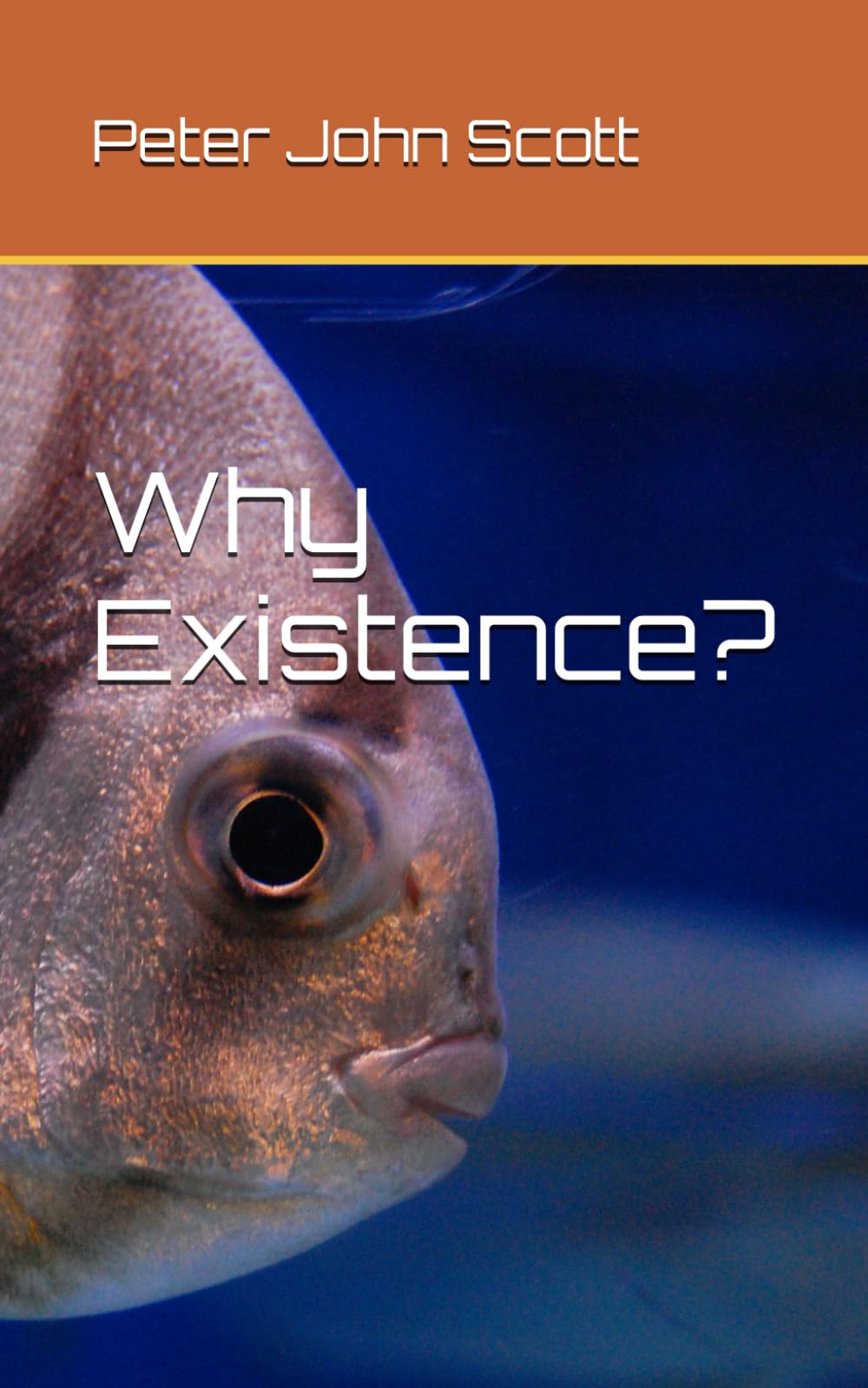 Why Existence?