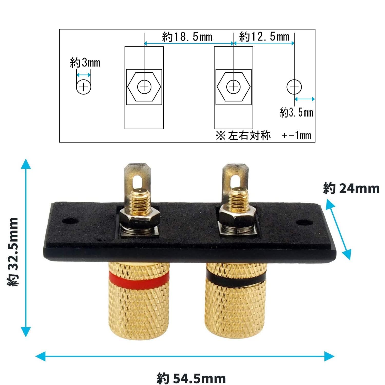 Amazon | オーディオファン スピーカーターミナル バナナプラグ対応