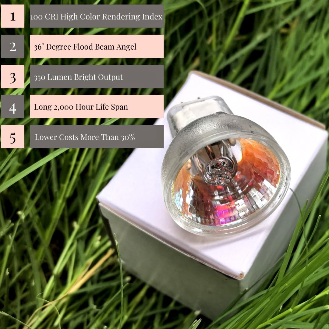 GZ4 ampoule halogène (6pcs) -économie d'énergie 12v 350lm 100cpi GZ4 MR-8 lampe halogène pour votre salon!(35W/12V)