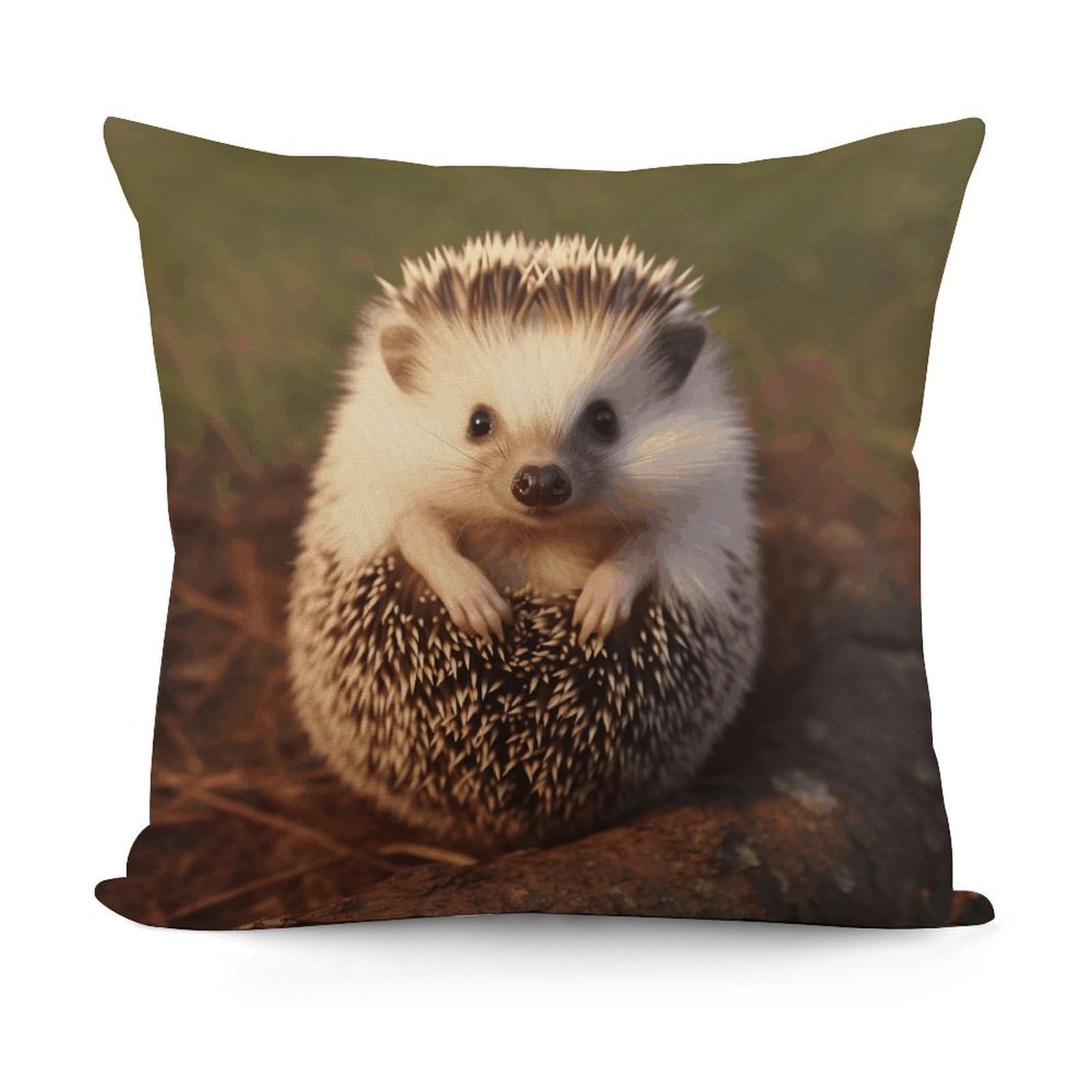 VstaDank Hedgehog Throw Pillow Covers Fade-Resistant Plush Pillow Case Cozy Square Cushion Case Removable Pillowcase Exquisite Pillow Shams Soft Pillow Protector 18"x18"