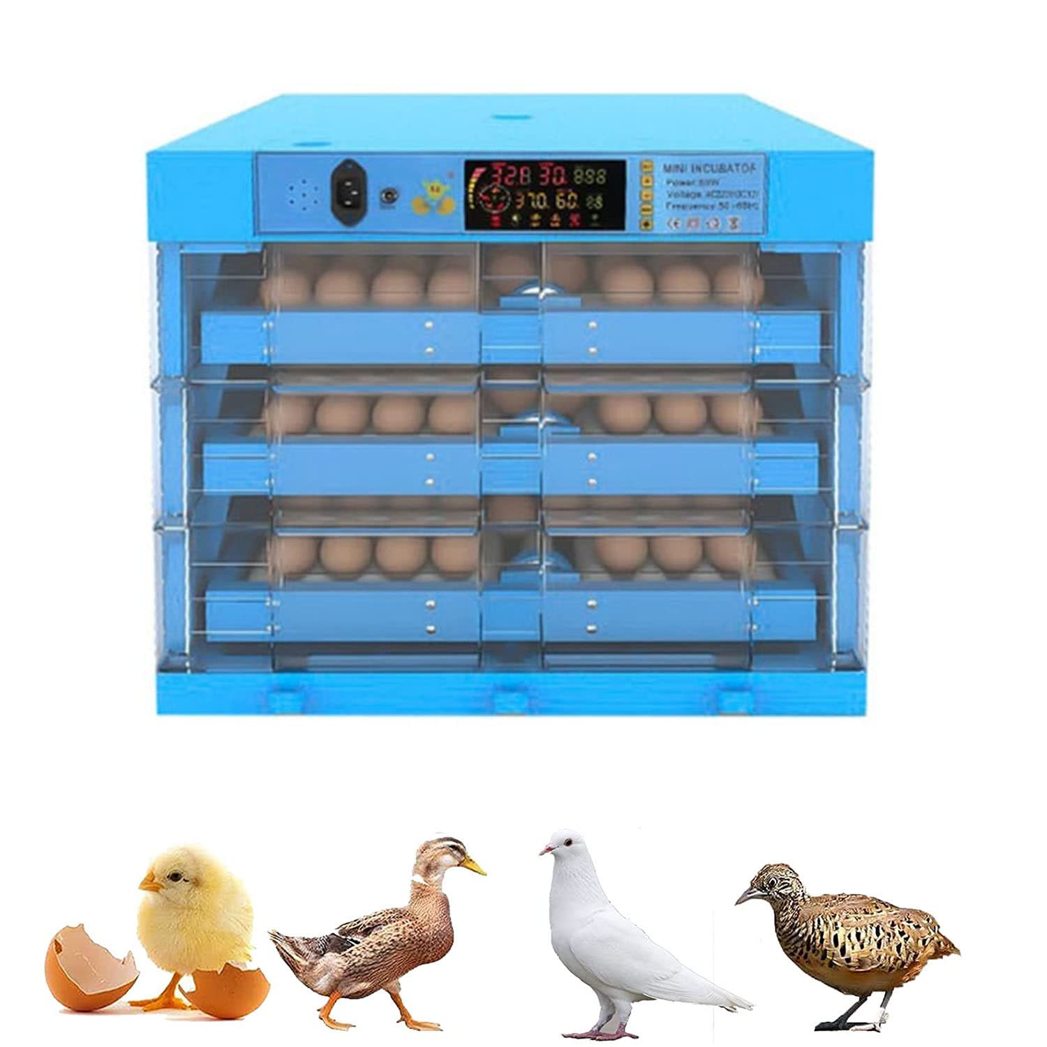 Couveuse automatique pour oeufs de volailles au cœur de votre basse-cour