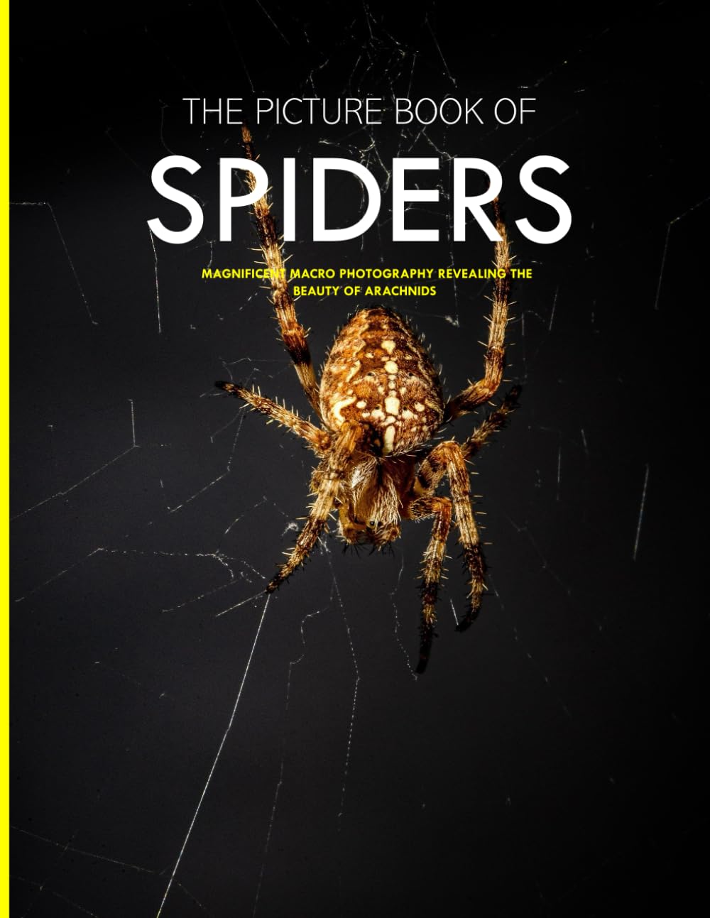 Spiders: Magnificent Macro Photography Revealing The Beauty Of Arachnids , A Gift Book for Alzheimer's Patients and Seniors with Dementia - Coffee