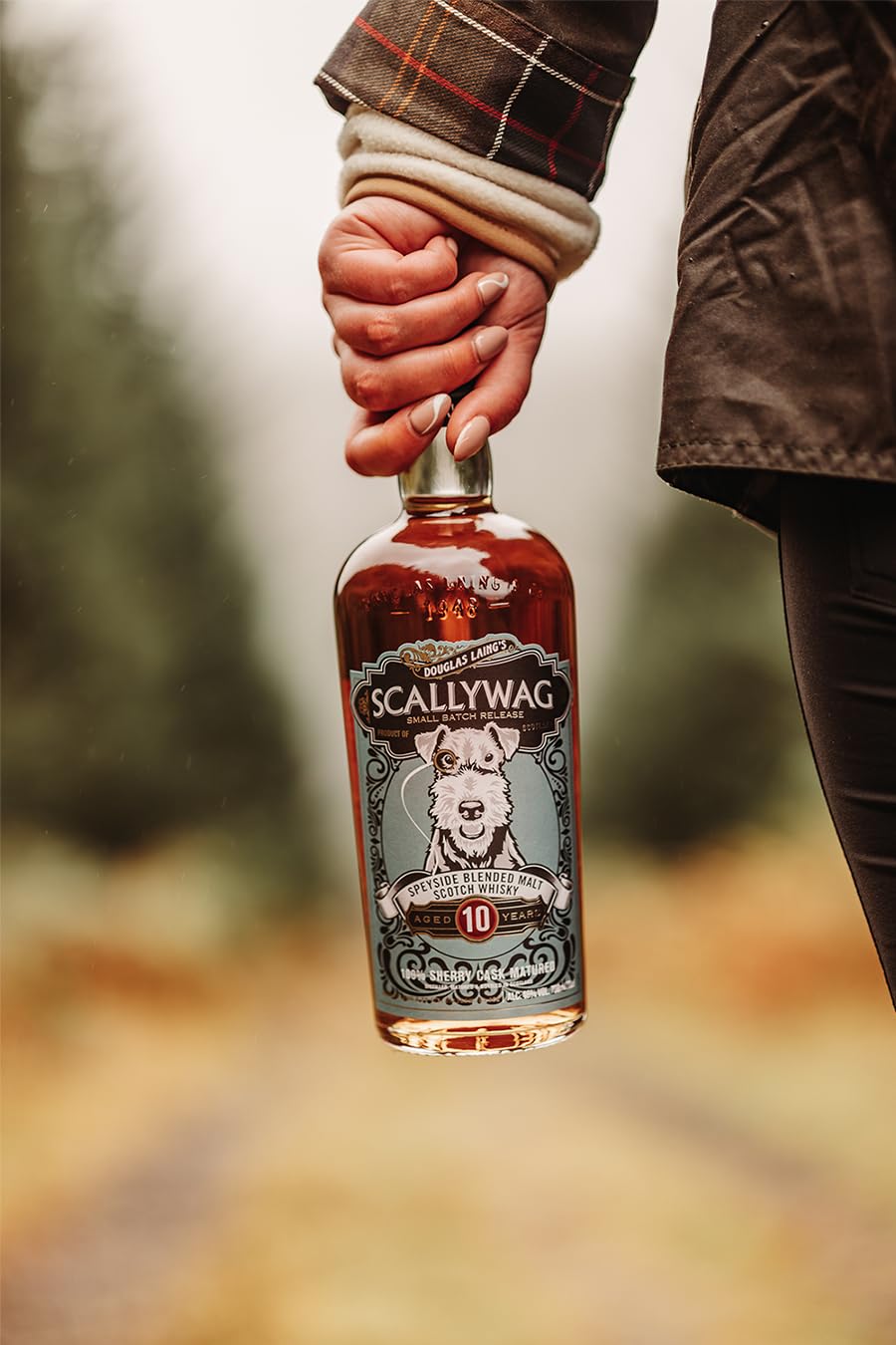 Amazon.co.jp: ダグラスレイン スカリーワグ10年 [ ウイスキー ブレン