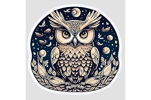 Owl Art Sticker: Express Yourself with Nature's Wisdom