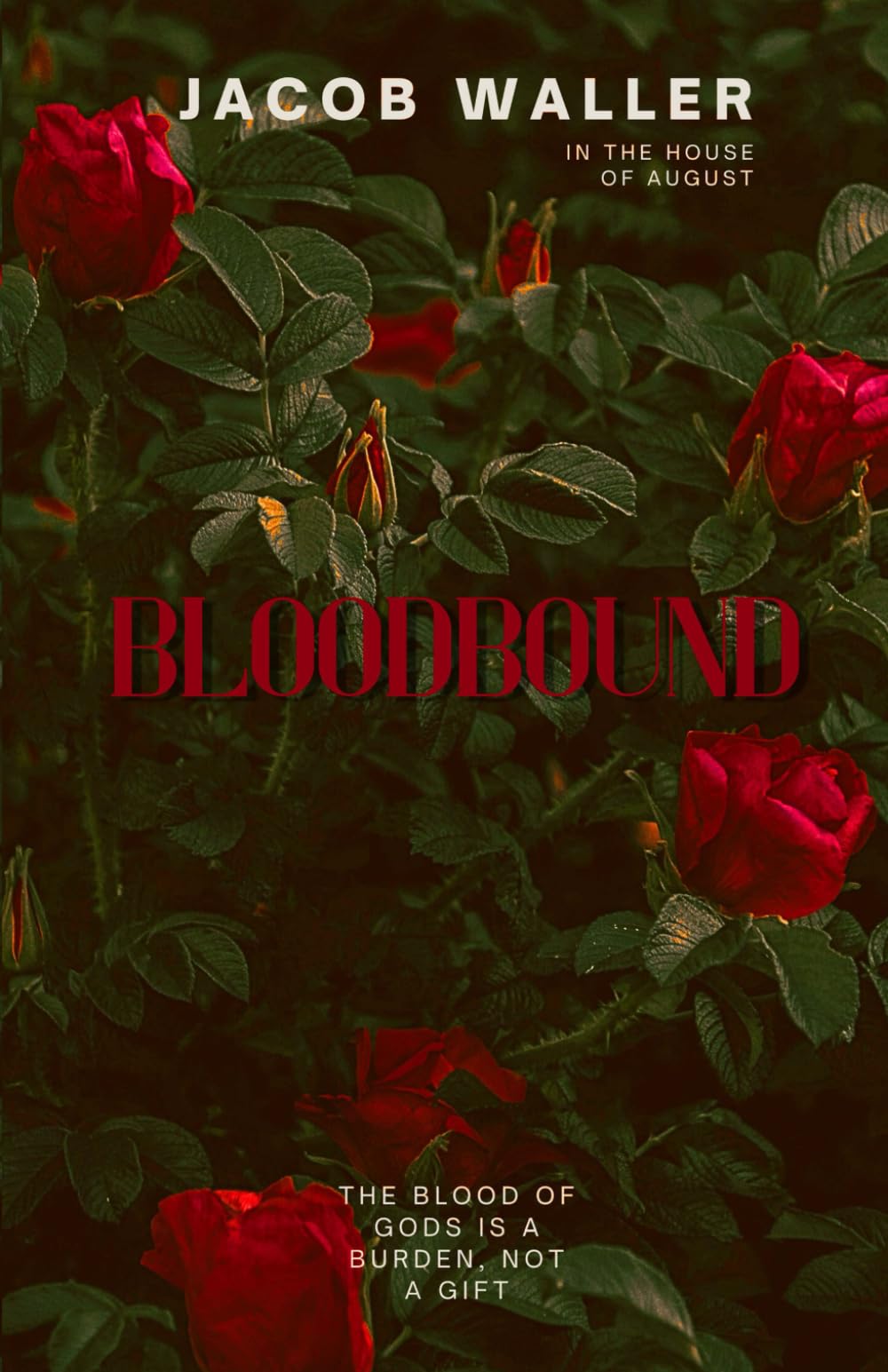 Bloodbound: Limited Edition Act One: 1 (In the House of August)