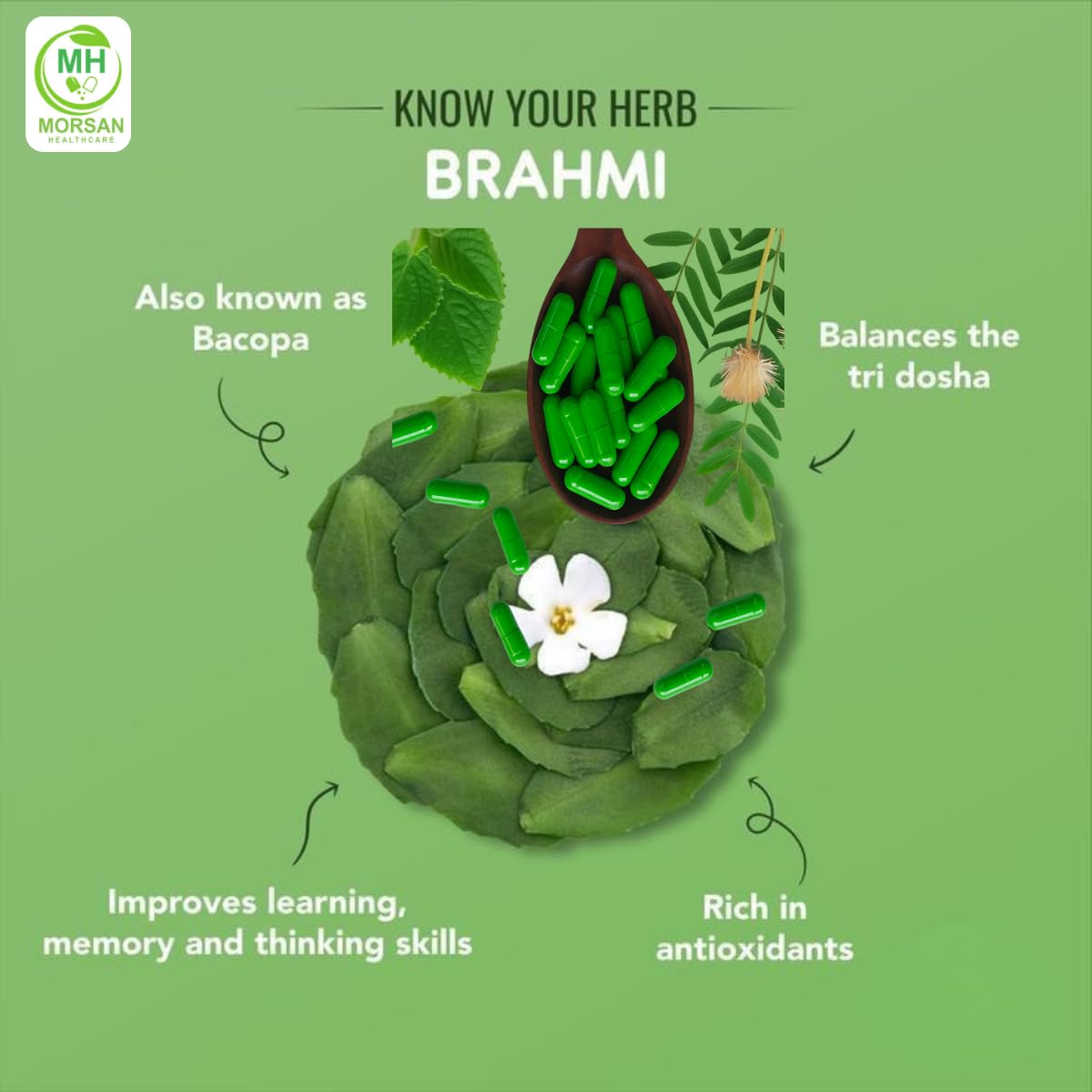 Brahmi Capsules 500 mg – 60 Veg Capsules | Bacopa Monnieri Extract | Memory Support Herb | Vegan & Gluten-Free | Plant-Based Supplement (PACK OF 1) — Amazon image 6