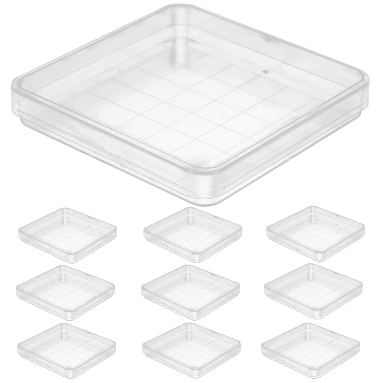 FRCOLOR Lot de 10 Boîtes de Petri en Plastique 10x10 Cm avec Couvercles Transparents pour Culture Microbiologique, Botanique et Projets Scientifiques en Laboratoire, Récipients de Culture
