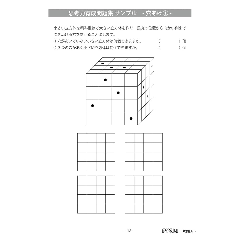 思考力育成問題集14 穴あけ1 (ピグマリオン|PYGLIシリーズ
