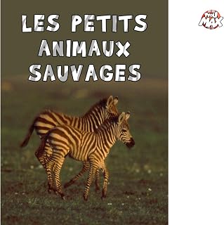 Les petits animaux sauvages