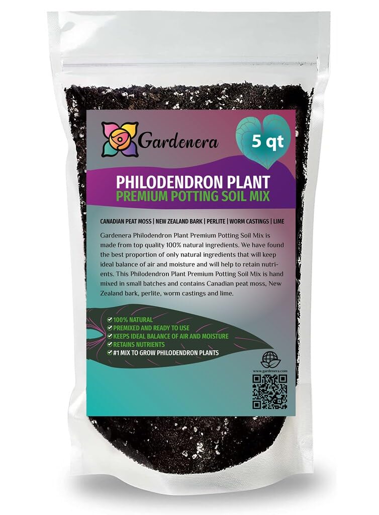 care philodendron hope outdoor Large Philodendron Selloum Hope