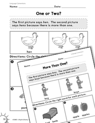 language conventions singular vs plural practice digital educational resources
