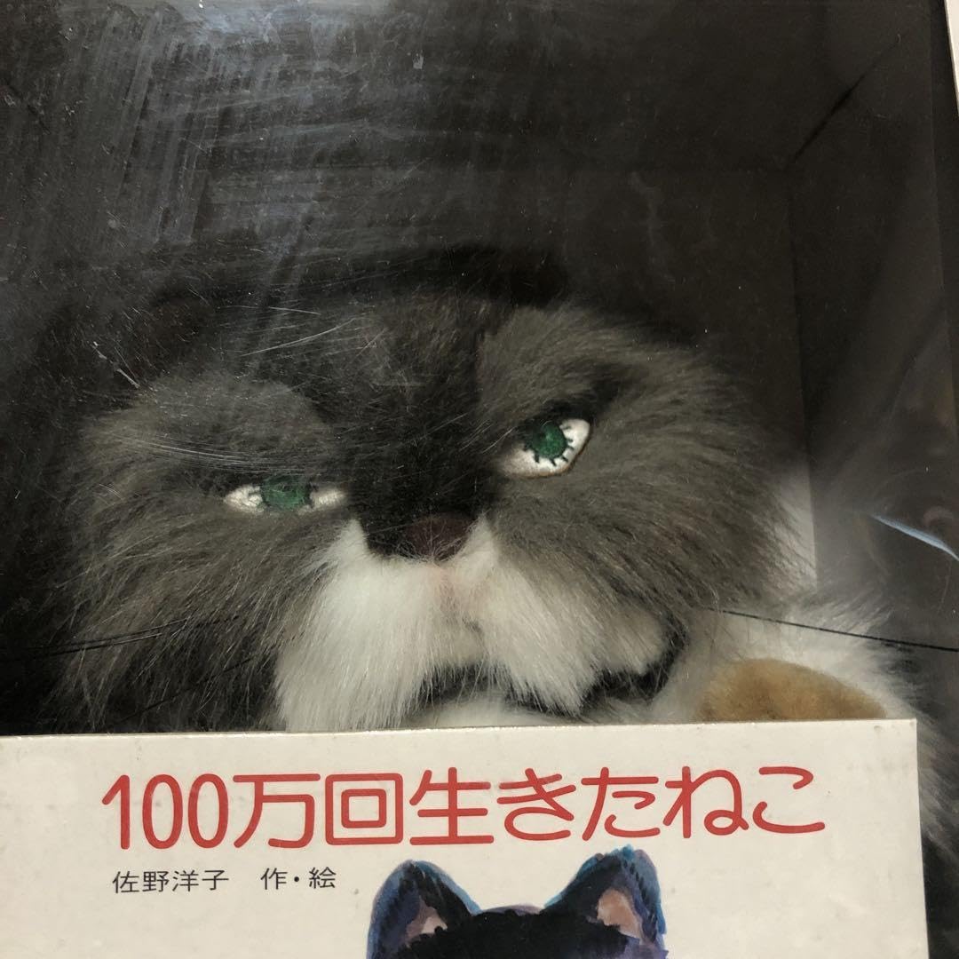 Amazon.co.jp: 100万回生きたねこ 完全限定 スペシャルボックス : おもちゃ