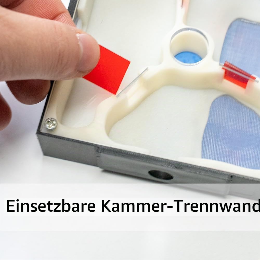 Ameisenfarm Habitat transparentes Acryl-Beobachtungsterrarium Nest mit Aktivitätskammer für Anfänger Ameisenhalter