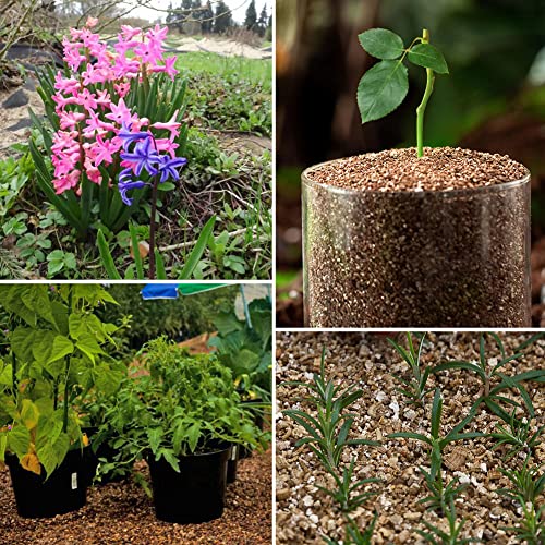 Yeesite 5 Quart Organic Vermiculite Granules For Plants And Gardening Suit For Root Cuttings, Seed Germination, Arranging Flowers #TOP4
