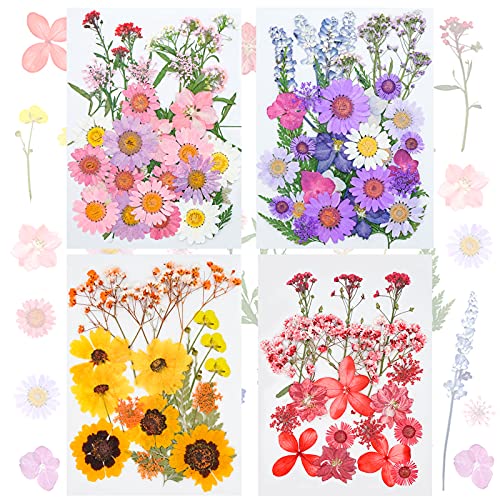 FINEVERNEK 111pcs Flores Secas Naturales, Flores Prensadas Secas, Juego de Flores Secas, Decoración Floral Flores Secas, para Joyería de Resina DIY, Bricolaje y Manualidades Fabricación Cover