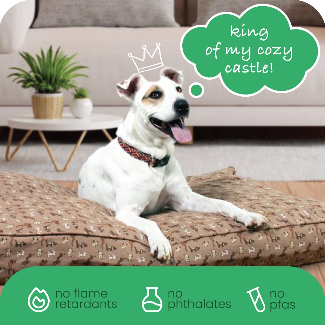 Molly Mutt Copriletto per cani da medio a grande, stampa Daysleeper - Misure 68 x 91 x 12,7 cm - 100% cotone - Durevole - Traspirante - Sostenibile - Lavabile in lavatrice
