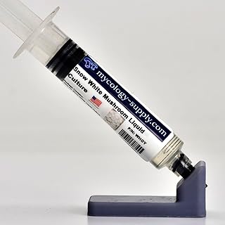 Mycology-Supply.com | Mushroom Liquid Culture (Snow White Oyster) | 10ml sterile Culture Syringe containing Live Mushroom Culture for Starting Mushroom Spawn.