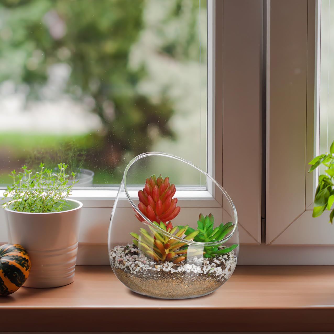 VANZACK Transparent Landscape Bottle Lifelike Succulent Terrarium Ornament Decorative Glass Bottle for Desktop Plant Display and Home Decoration