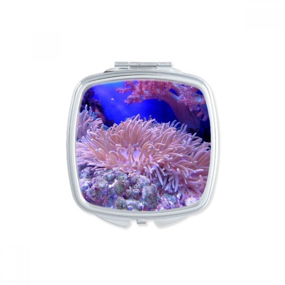 Miroir mignon oceanologie corail nature petit cadeau portable pour femme