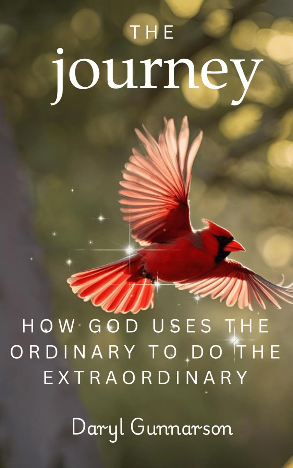 The Journey: How God Uses the Ordinary to do the Extraordinary