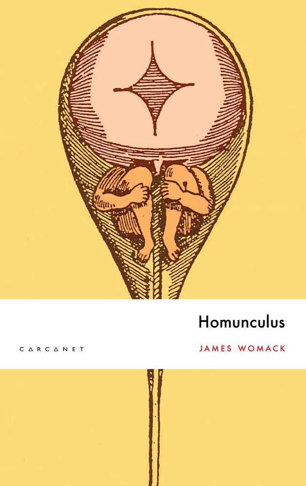 Homunculus by James Womack PAPERBACK 9781784109912