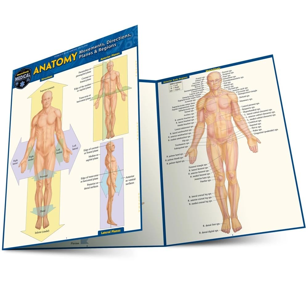 Anatomy - Directions, Planes, Movements & Regions: A Quickstudy Laminated Reference Guide