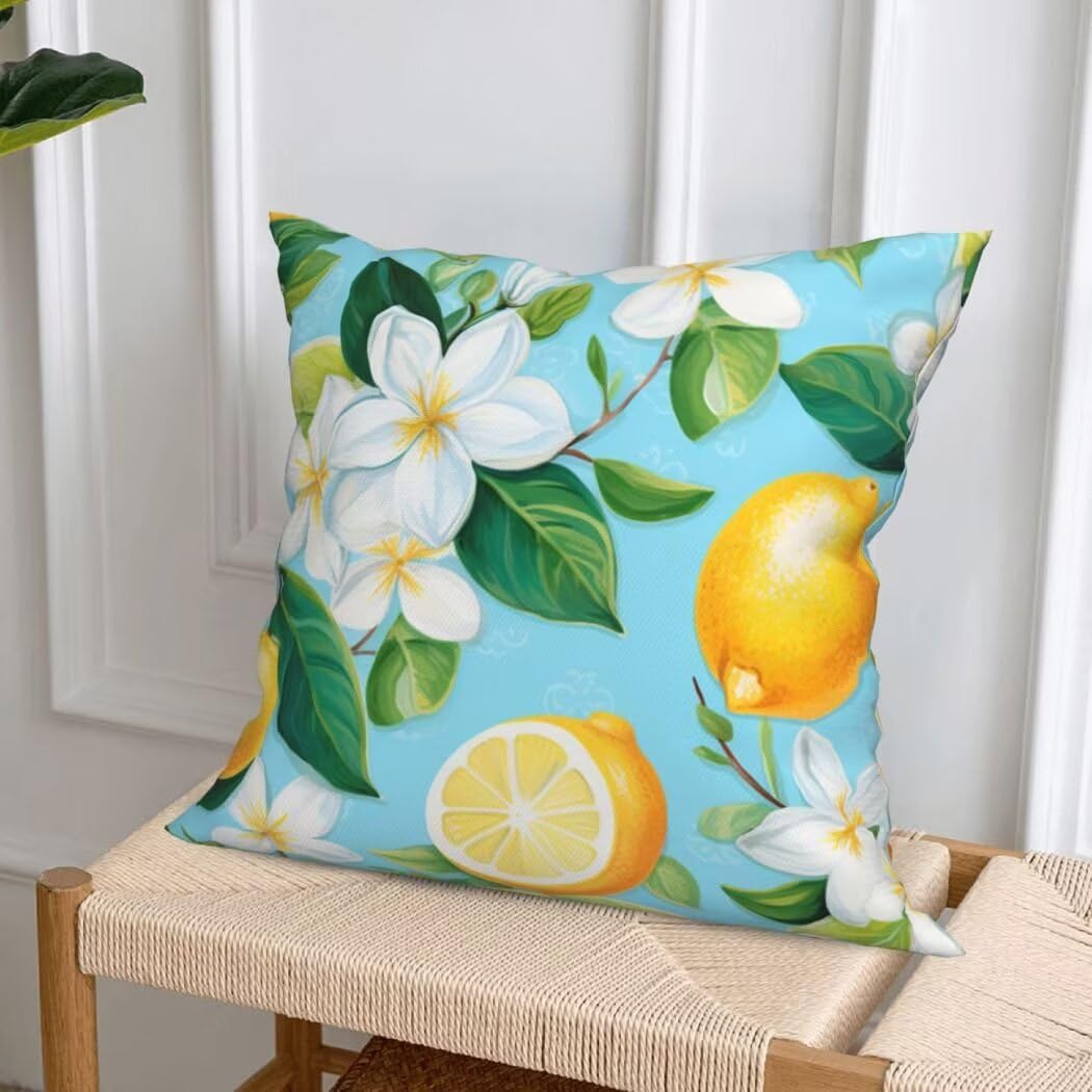 Aksamitna poszewka na poduszkę 65 x 65 cm, zestaw 4 dekoracyjnych poszewek na poduszki jasnoniebieskie miękkie poszewki na poduszki poduszka cytryna poszewka na poduszkę poduszka na sofę dekoracja do