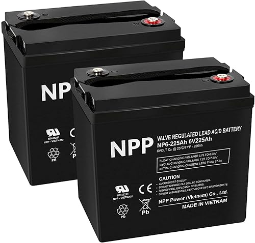 Batería recargable AGM NP6-225Ah (2 piezas) con terminal T16 (M8), repuesto de batería de plomo-ácido V6-225, para carritos de golf, gato de paleta,