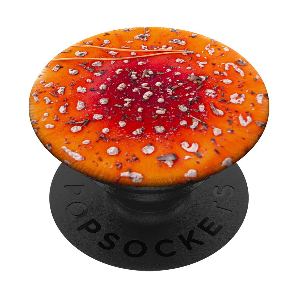 Red Fly Agaric Amanita Mushroom Fungus Hipster Nature PopSockets Adhesive PopGrip