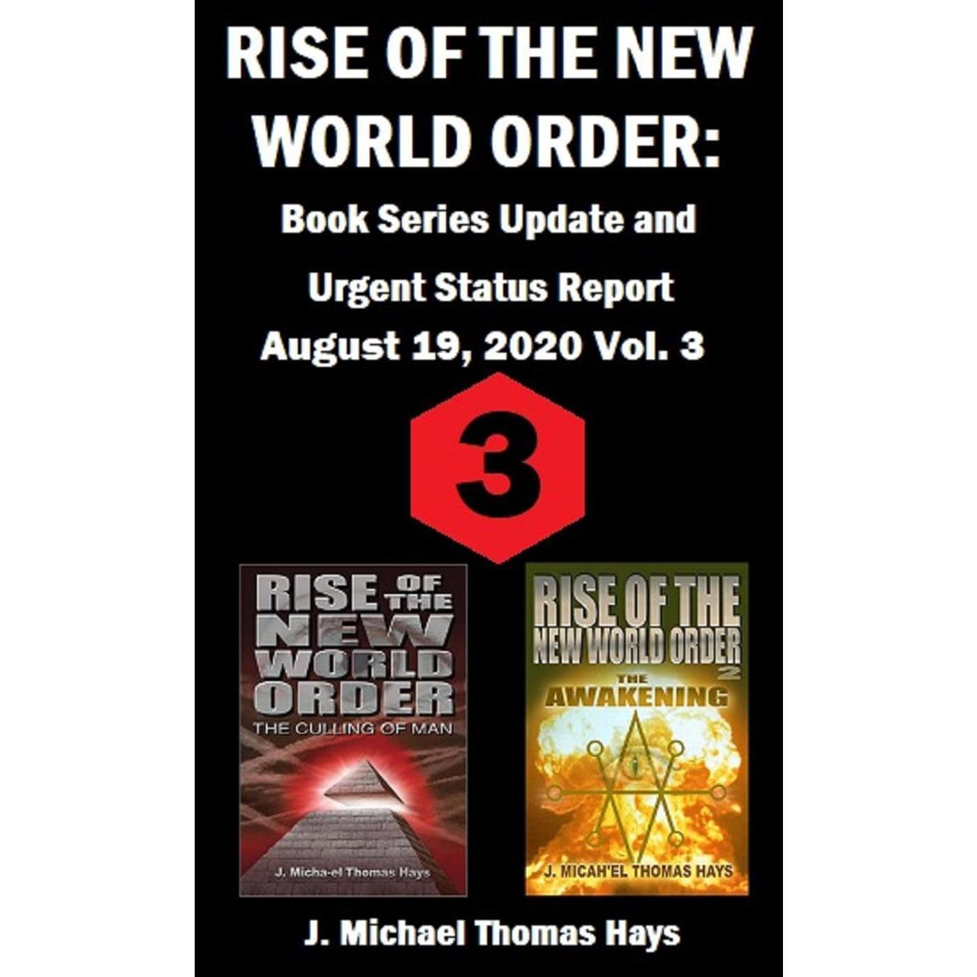 Rise of the New World Order: Book Series Update and Urgent Status Report