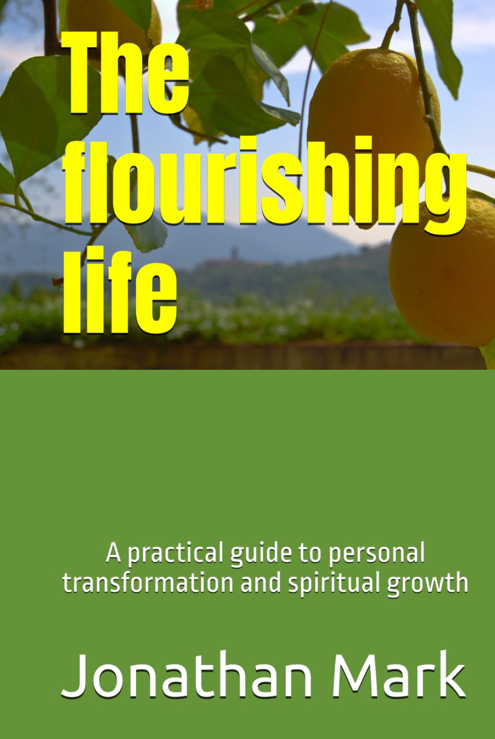 The flourishing life: A practical guide to personal transformation and spiritual growth