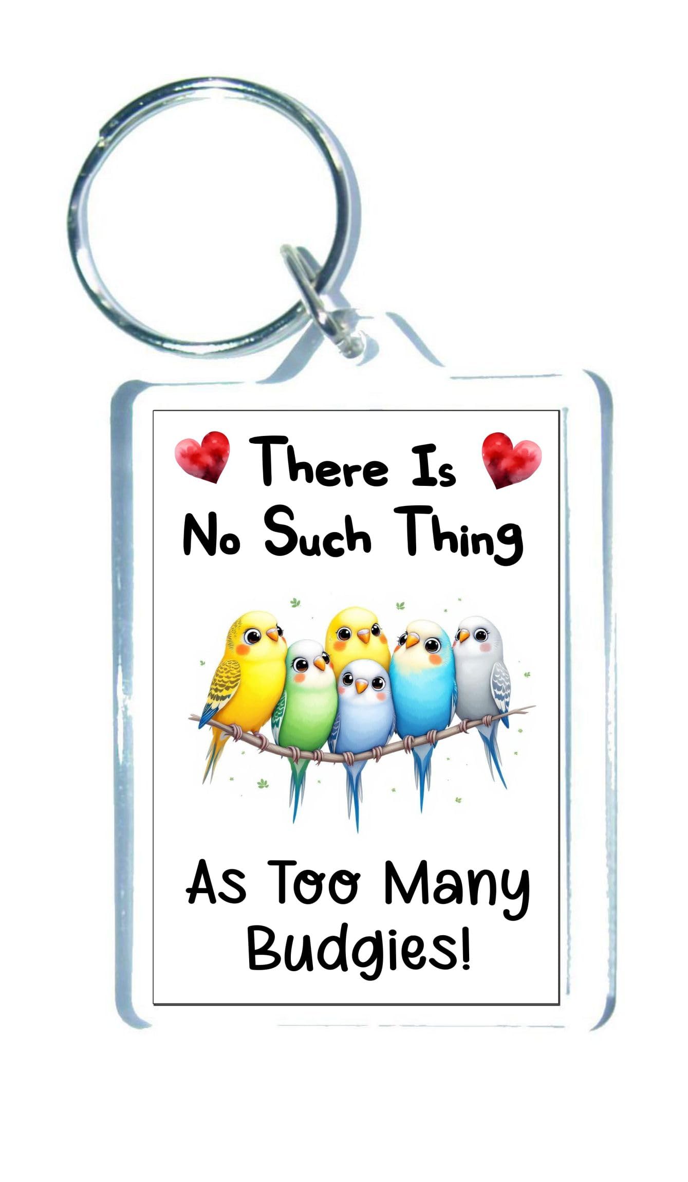 Decalarama Clear Bird Keyring Gift – There's No Such Thing As Too Many Budgies - Cute Fun Novelty Present