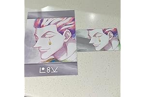 HUNTER x HUNTER Ani-Art Hisoka Sticker Postcard