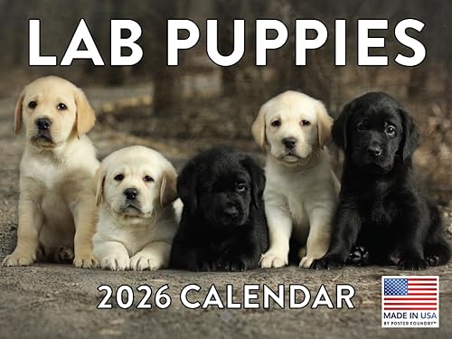 Vista 89 de Calendario Goldendoodle 2026 Golden Doodle mensual de pared calendario de 12 meses Fabricado en Estados Unidos