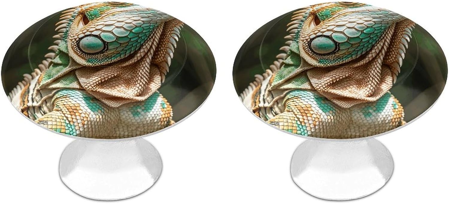 2 Pack Cabinet Knobs,Decorative Drawer Pulls, Primitive Wildlife Lizards