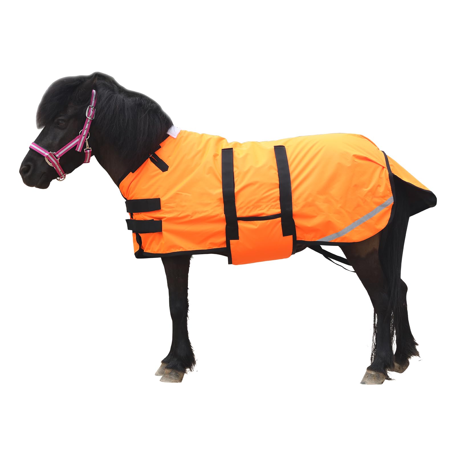 Coperta 300D Pony/Shetty per cavalli, 150 g/m², per pony, leggera, calda, impermeabile, traspirante e antistrappo, per pony puledri, mini cavalli nani