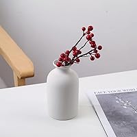 Vista 10 de Floreros secos de flores, florero de cerámica, decoración de sala de estar, arreglo floral decoración accesorios de tiro