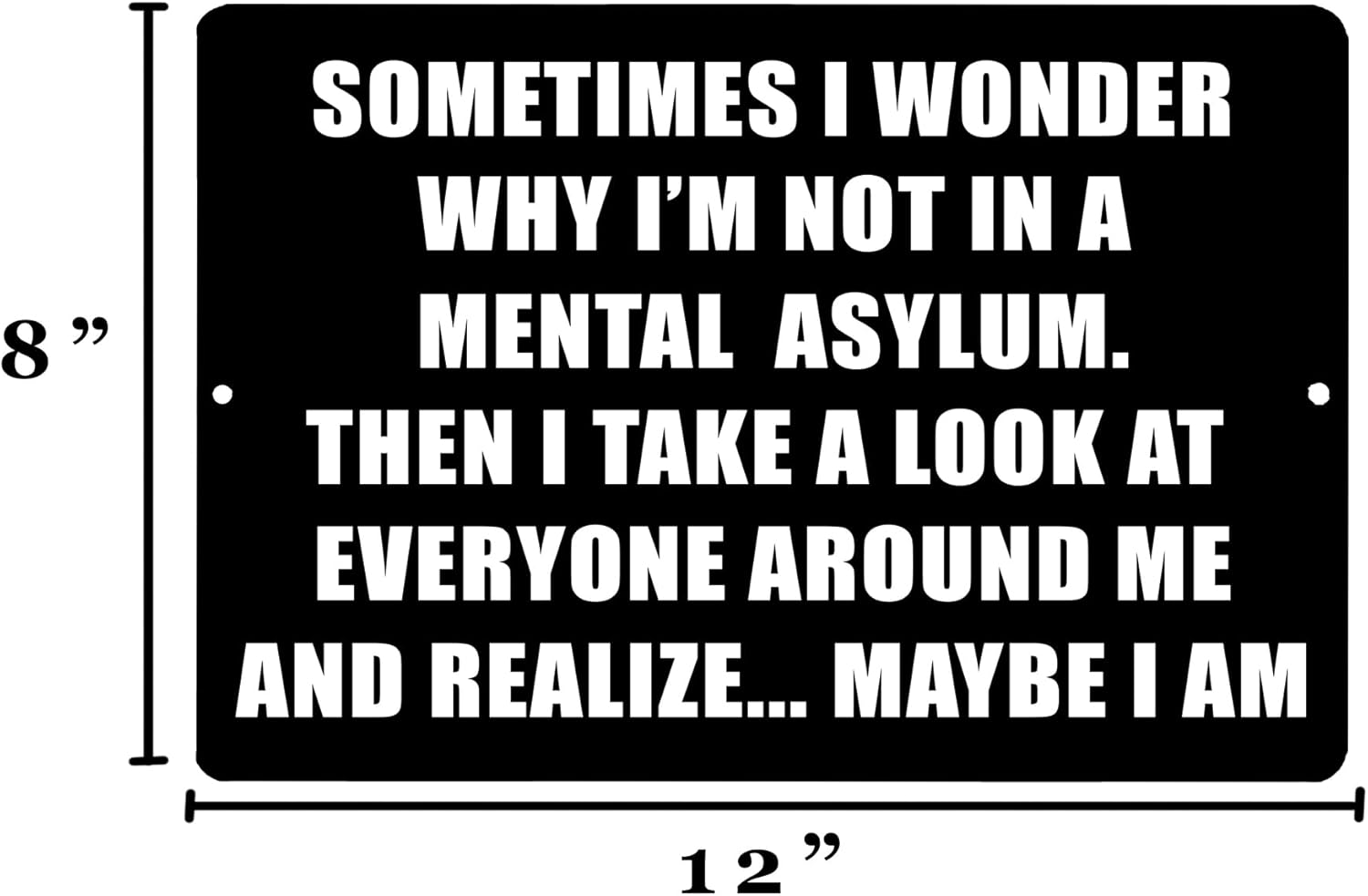 Rogue River Tactical Sometimes I Wonder Funny Sarcastic Metal Tin Sign Wall Decor Man Cave Bar Office Garage Shop Home Decor Room - Image 3