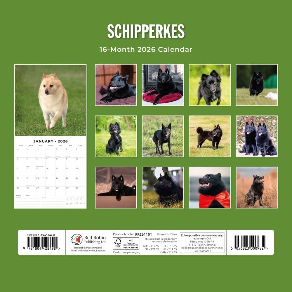 Red Robin 2026 Schipperkes Monthly Wall Calendar | 12" x 24" Open | Premium Thick & Sturdy Paper | Hangable 12 Month Calendar | Lined Notes & To Do Area | Vivid Images | Plastic Free - Image 4