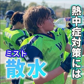 61cmdh2w4PL._AC_UF350,