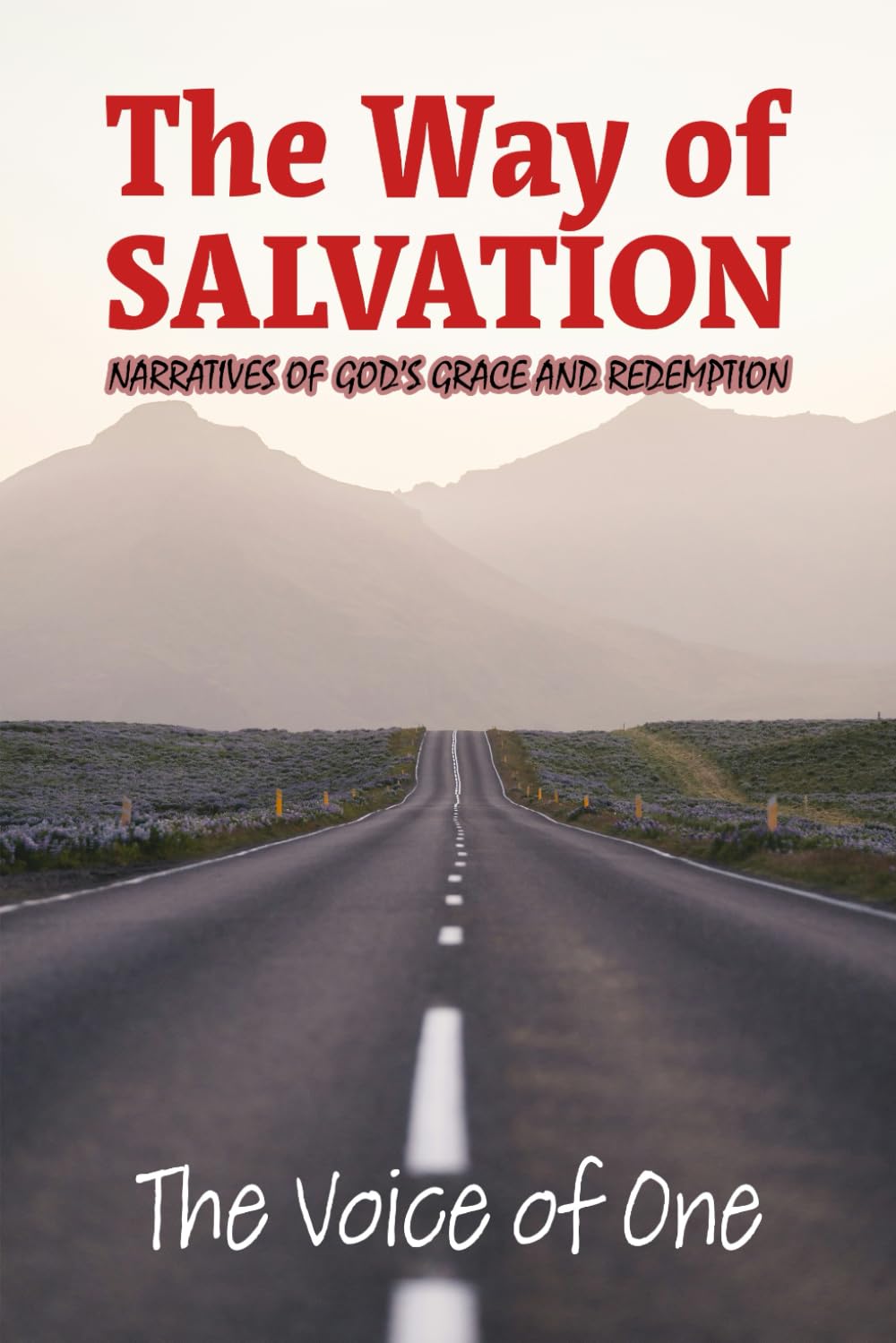 The Way of Salvation: Narratives of God's Grace and Redemption