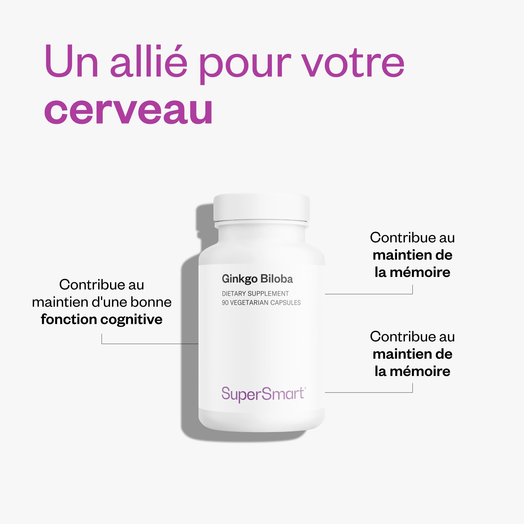Ginkgo Biloba - Aide à Maintenir la Fonction Cognitive - SuperSmart | Standardisé à 24 % Ginkgoflavonglycosides et 6 % de Terpène Lactones - Contribue à la Santé de la Circulation Sanguine