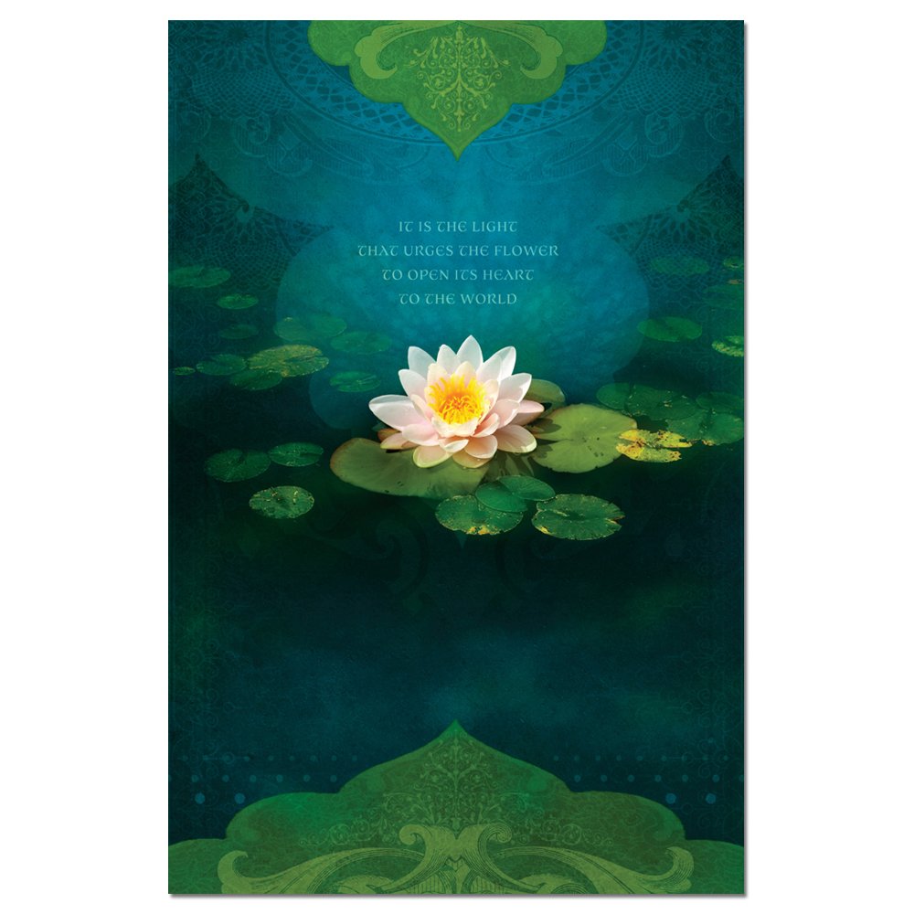 Tree-Free Greetings - All Occasion Cards - Artful Designs - 12 Greeting Cards + White Envelopes - Made in USA - 100% Recycled Paper - 4 x 6 - Bouquet