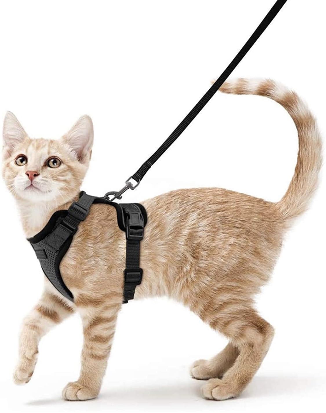 See full amazon price history chart for Hcpet Cat Harness and Leash for Walking, Escape Proof Soft Adjustable Vest Harnesses for Cats, Easy Control Breathable Reflective Strips Jacket, Black Hcpet Cat Harness and Leash for Walking, Escape Proof Soft Adjustable Vest Harnesses for Cats, Easy Control Breathable Reflective Strips Jacket, Black (B0C52NFTHN) Amazon Price History, Amazon Price Tracker